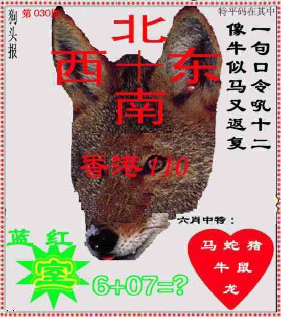 030期狗头报[图]