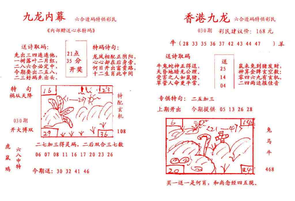 030期九龙内幕[图]